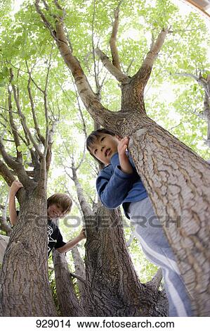 Two boys standing behind trees View Large Photo Image Picture - Two boys standing behind trees. Fotosearch