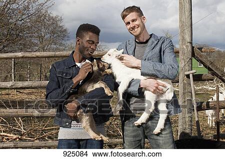 Picture - Two male friends holding kid goats. Fotosearch