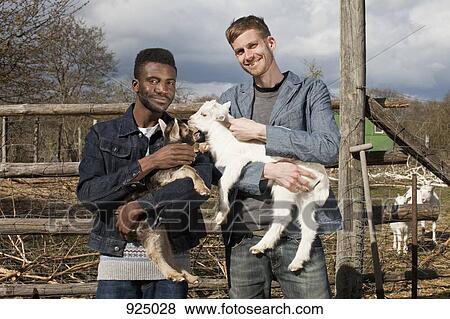 Two male friends holding kid goats View Large Photo Image Stock Photo - Two male friends holding kid goats. Fotosearch