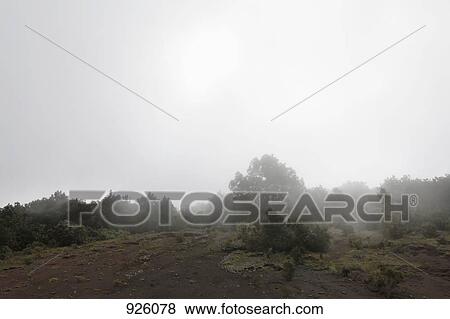 Stock Photo - View of a misty landscape. Fotosearch