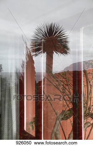 Stock Image - View through a window and reflection of outside. Fotosearch
