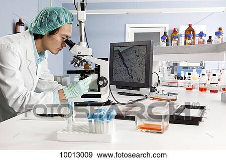 A lab technician looking into a microscope in a laboratory View Large Photo Image Stock Photo - A lab technician looking into a microscope in a laboratory. Fotosearch