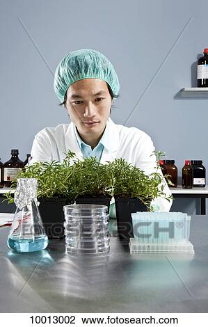 A lab technician staring intently at a plant in a laboratory View Large Photo Image Stock Image - A lab technician staring intently at a plant in a laboratory. Fotosearch