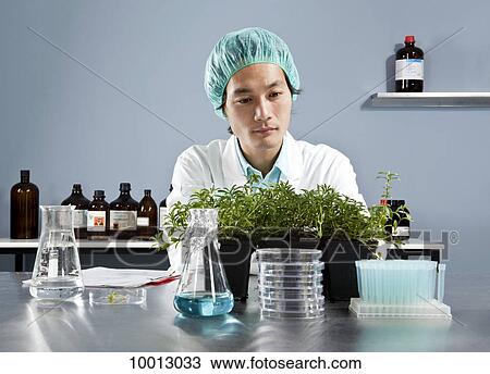A lab technician staring intently at a plant in a laboratory View Large Photo Image Stock Image - A lab technician staring intently at a plant in a laboratory. Fotosearch