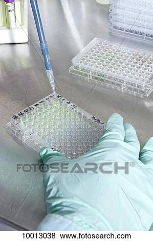 A lab technician using a dropper to put samples into a tray of test tubes, close-up of hand View Large Photo Image Stock Photo - A lab technician using a dropper to put samples into a tray of test tubes, close-up of hand. Fotosearch