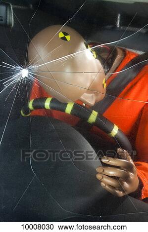 A windshield cracked by the impact of a crash test dummy's head View Large Photo Image Stock Image - A windshield cracked by the impact of a crash test dummy's head. Fotosearch