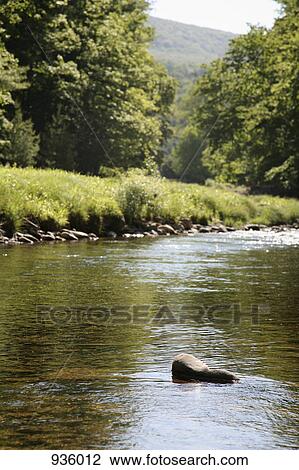 Stock Image - Detail of a river. Fotosearch