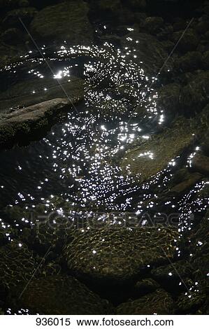 Detail of a river View Large Photo Image Stock Photography - Detail of a river. Fotosearch