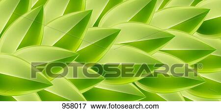 Green feathers, full frame View Large Photo Image Stock Photo - Green feathers, full frame. Fotosearch
