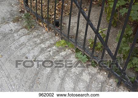 A closed wrought iron gate, close-up, high angle view View Large Photo Image Stock Image - A closed wrought iron gate, close-up, high angle view. Fotosearch