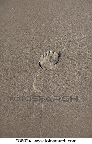 A footprint in the sand View Large Photo Image Picture - A footprint in the sand. Fotosearch