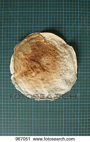 A pancake on top of a grid View Large Photo Image Stock Image - A pancake on top of a grid. Fotosearch