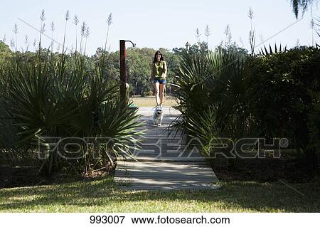 A woman and her dog walking down a wooden walkway View Large Photo Image Stock Photo - A woman and her dog walking down a wooden walkway. Fotosearch