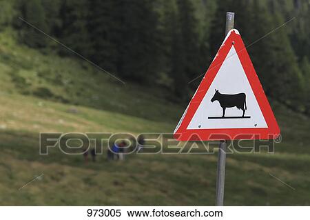 An animal crossing sign in front of a green landscape View Large Photo Image Stock Photography - An animal crossing sign in front of a green landscape. Fotosearch