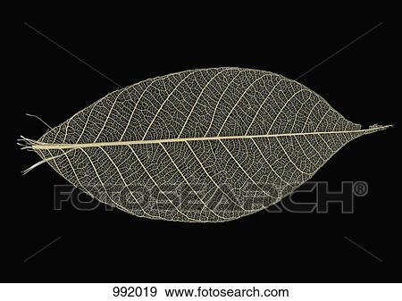 An artificial leaf View Large Photo Image Stock Photo - An artificial leaf. Fotosearch