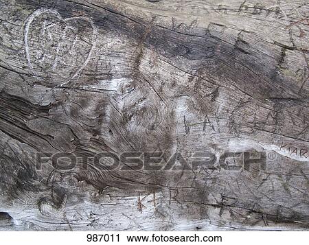 Carvings in a tree trunk View Large Photo Image Stock Image - Carvings in a tree trunk. Fotosearch