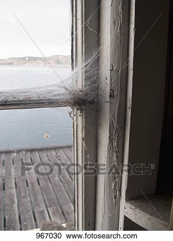 Stock Image - Cobwebs on a window frame. Fotosearch