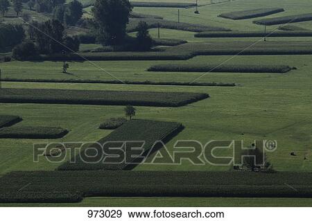 Crops growing in a field View Large Photo Image Stock Photo - Crops growing in a field. Fotosearch
