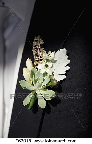 Detail of a corsage on the lapel of a man View Large Photo Image Stock Photo - Detail of a corsage on the lapel of a man. Fotosearch