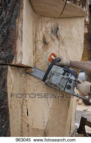 Detail of a man cutting a tree with a chainsaw View Large Photo Image Stock Photography - Detail of a man cutting a tree with a chainsaw. Fotosearch