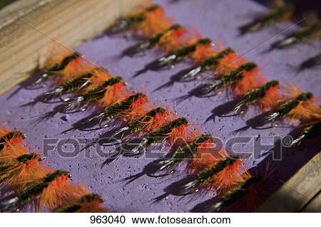 Detail of fishing lures on display View Large Photo Image Stock Image - Detail of fishing lures on display. Fotosearch
