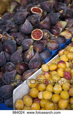 Figs and Mirabelle plums at an outdoor market View Large Photo Image Picture - Figs and Mirabelle plums at an outdoor market. Fotosearch