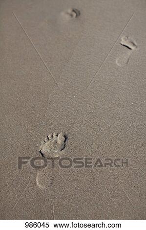 Footprints in the sand View Large Photo Image Stock Photography - Footprints in the sand. Fotosearch