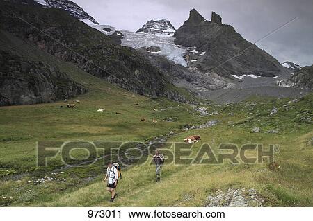 Hikers walking in the Swiss mountains View Large Photo Image Stock Image - Hikers walking in the Swiss mountains. Fotosearch