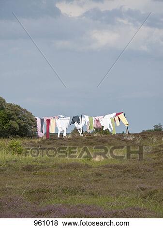 Laundry hanging in a field View Large Photo Image Stock Photo - Laundry hanging in a field. Fotosearch