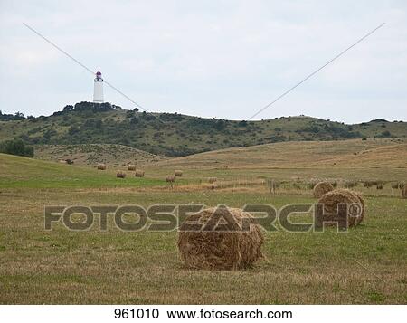Lighthouse overlooking hay bales View Large Photo Image Stock Image - Lighthouse overlooking hay bales . Fotosearch