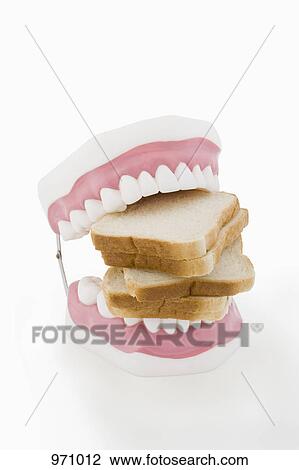 Model teeth biting bread View Large Photo Image Stock Image - Model teeth biting bread. Fotosearch