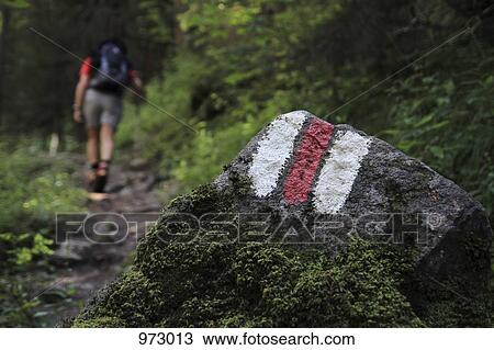 Painted marks on a nature trail View Large Photo Image Stock Image - Painted marks on a nature trail. Fotosearch