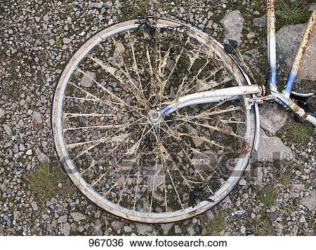 Part of an old bicycle lying on the ground View Large Photo Image Stock Photograph - Part of an old bicycle lying on the ground. Fotosearch