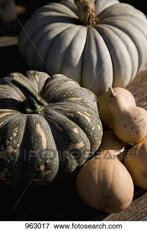 Pumpkins View Large Photo Image Stock Photo - Pumpkins. Fotosearch