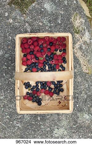 Raspberries and blueberries in a basket View Large Photo Image Picture - Raspberries and blueberries in a basket. Fotosearch