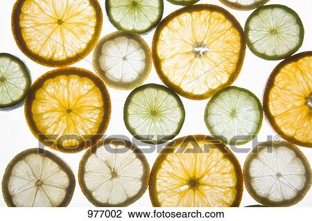 Sliced citrus fruits on a lightbox View Large Photo Image Stock Image - Sliced citrus fruits on a lightbox. Fotosearch