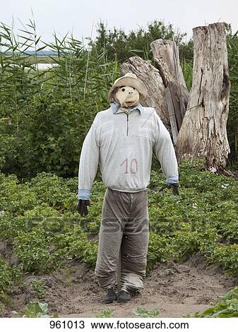 Stock Image - Standing scarecrow . Fotosearch