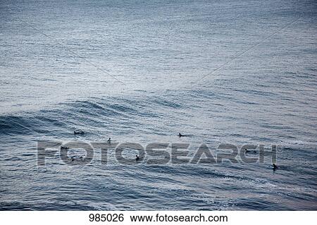 Surfers in the sea View Large Photo Image Stock Photograph - Surfers in the sea. Fotosearch