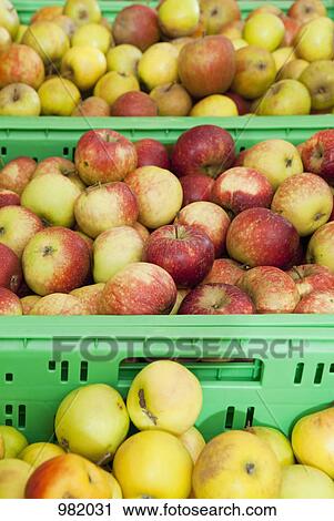 Stock Image - Three bins of apples. Fotosearch