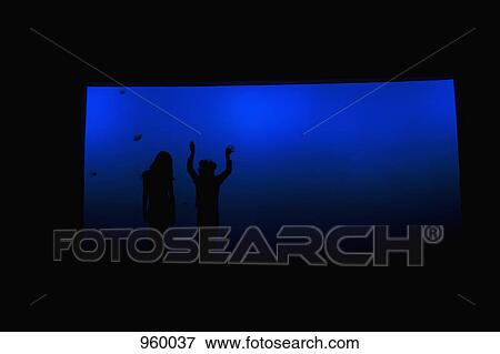 Two children in an aquarium View Large Photo Image Stock Photo - Two children in an aquarium. Fotosearch