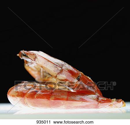 Two prawns, studio shot, close-up View Large Photo Image Stock Image - Two prawns, studio shot, close-up. Fotosearch