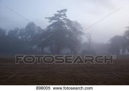 Stock Photography - View of a foggy field. Fotosearch