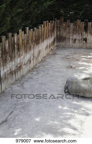 View of a hippopotamus lying down in a zoo enclosure View Large Photo Image Stock Photo - View of a hippopotamus lying down in a zoo enclosure. Fotosearch