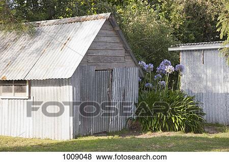 A backyard shed View Large Photo Image Stock Photo - A backyard shed. Fotosearch