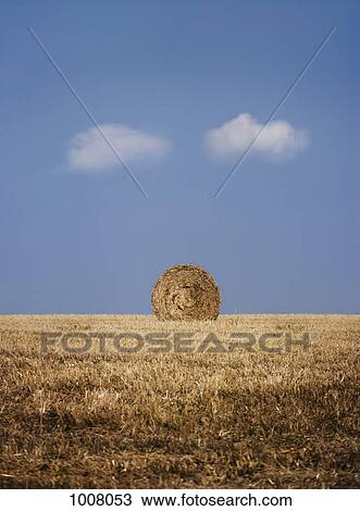 A bale of hay in a field View Large Photo Image Stock Image - A bale of hay in a field. Fotosearch