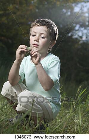 A boy staring intently at a leaf, summer View Large Photo Image Stock Image - A boy staring intently at a leaf, summer. Fotosearch