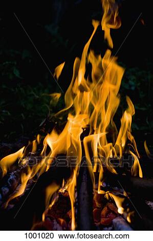 Stock Image - A campfire. Fotosearch