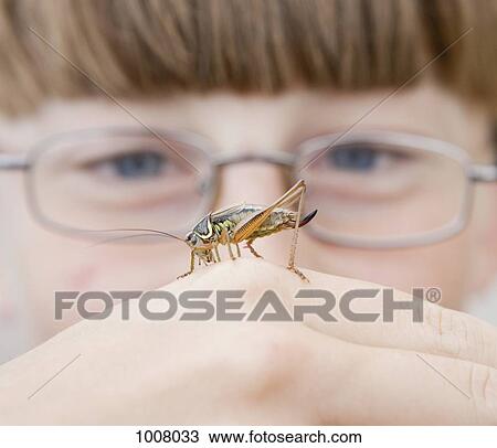 A cricket on the hand of a boy View Large Photo Image Stock Image - A cricket on the hand of a boy. Fotosearch