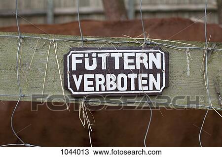 A FEEDING FORBIDDEN sign written in German hanging on a fence, close-up View Large Photo Image Stock Image - A FEEDING FORBIDDEN sign written in German hanging on a fence, close-up. Fotosearch