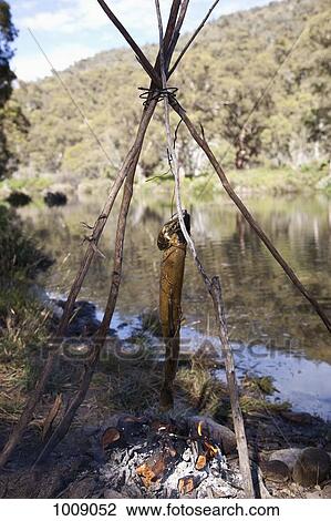 A fish cooking over a campfire next to a river View Large Photo Image Stock Image - A fish cooking over a campfire next to a river. Fotosearch